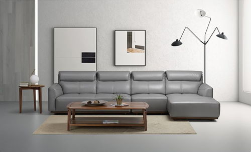 中國(guó)家具市場(chǎng)真皮沙發(fā)推薦